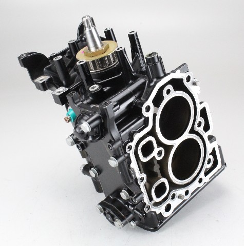 3V1B011000 Tohatsu 9.8 cylinder block powerhead MFS9.8A3