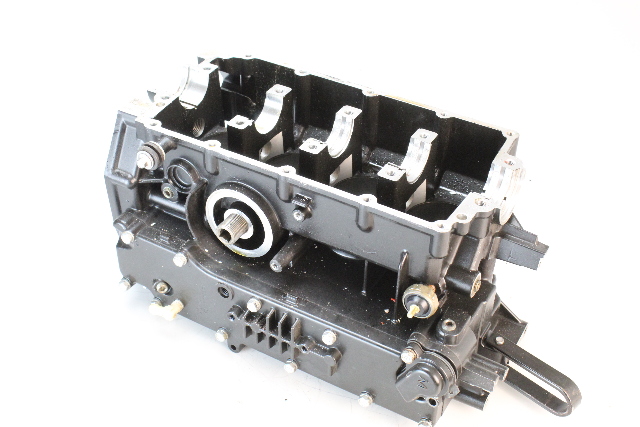 878344T02 893678T03 Mercury Mariner 2001-2006 Powerhead 40 50 60 HP 4-Stroke