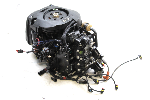 5007396 Evinrude 2011 ETEC E-TEC Dressed Powerhead 40 50 55 60 HP 2 Cylinder