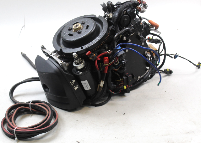 5007396 Evinrude 2016 ETEC E-TEC Dressed Powerhead 40 50 55 60 HP 2 Cylinder