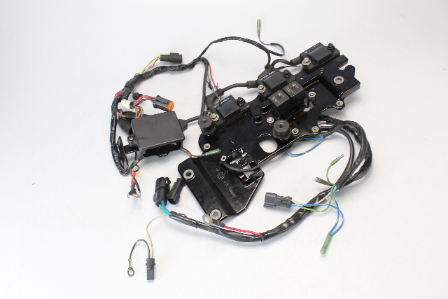 586021 514222 Johnson Evinrude 1996-01 Wiring Harness & Coils 40 50+ HP 1 YR WTY