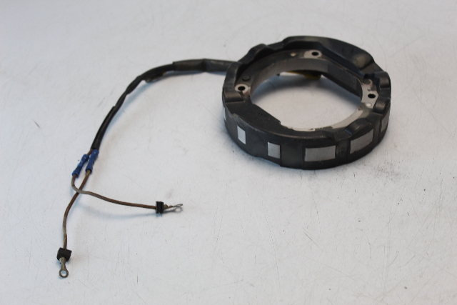 OEM Johnson Evinrude 1972 - 1977 6 AMP Stator 65 85 + HP 1 YEAR WARRANTY