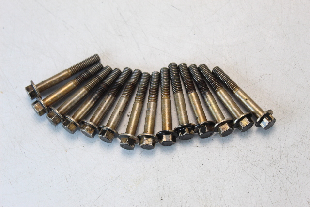 Johnson Evinrude 1968 - 1998 Set of 14 Head Bolt Screws 40 45 + HP