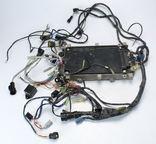Yamaha 2001 2002 2003 2004 CDI Unit & Wiring Harness 200 225 HP 1 YEAR WARRANTY