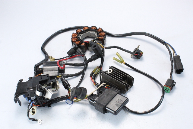 Johnson Evinrude 2005 Complete Ignition System 9.9 10 15 HP 1 YEAR WARRANTY