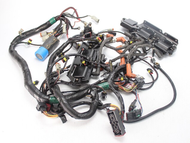 Evinrude 2001 2002 2003 2004 & UP ETEC Wiring Harness 250 300 HP V6 FRESHWATER