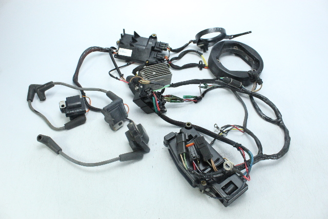 Johnson Evinrude 1995 - 2004 Ignition System 9.9 10 15 25 35 HP 1 YEAR WARRANTY