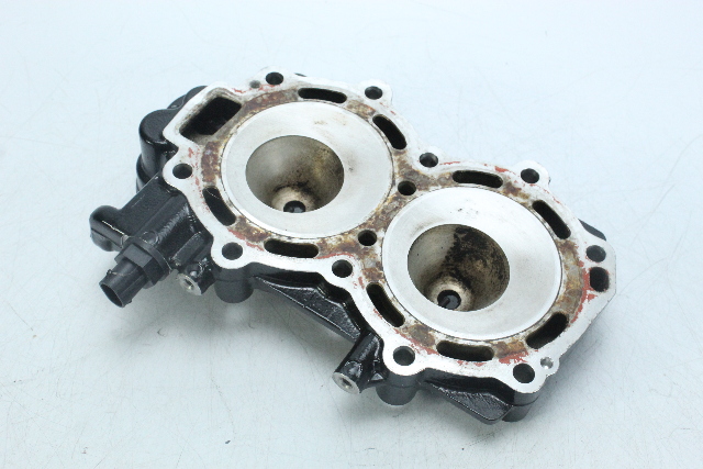 Evinrude 2009 UP ETEC Cylinder Head 15 25 30 HP 2 Cylinder 2 Stroke FRESHWATER
