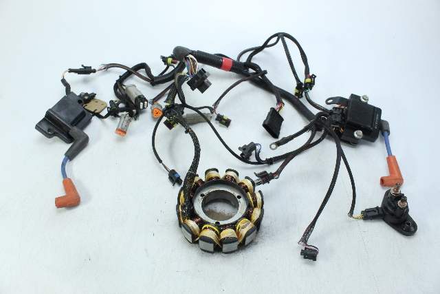 OEM Johnson Evinrude 2012 Stator W/ Harness & Coils  15 25 30 HP 1 YEAR WARRANTY