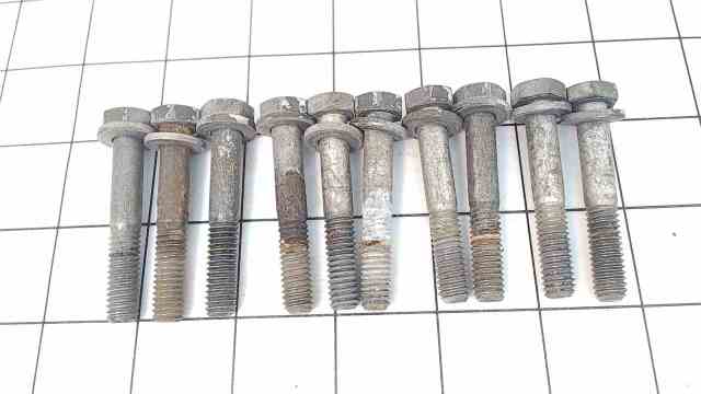 306424 Johnson Evinrude Set of 10 Cylinder Head Screws W/ Washers