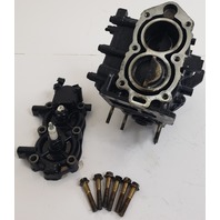1991-95 Johnson Evinrude Complete Powerhead C# 437856 336857 5 6 8 HP FRESHWATER