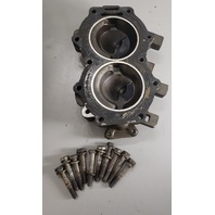 387029 Johnson Evinrude 1976 Powerhead Assembly 35 HP 2 cyl FOR PARTS/REPAIR