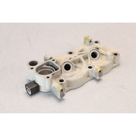 Johnson Evinrude 1993 - 1997 1998 1999 2000 2001 Cylinder Head 9.9 15 HP 2 Cyl