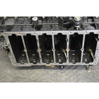 2008 & UP Evinrude ETEC Rebuildable Powerhead 5007436 150 175 HP V6 FOR REPAIR