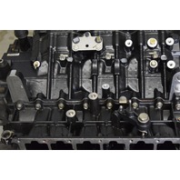 2008 & UP Evinrude ETEC Rebuildable Powerhead 5007436 150 175 HP V6 FOR REPAIR