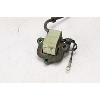 580821 510675 Johnson Evinrude 1971-75 Coil W/ 8" Lead 50 55 65 70+ HP 1 YR WTY