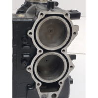 395893 C# 328100 Johnson Evinrude 1985 Powerhead Cylinder Block 40 50 HP REBUILT