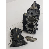 395893 C# 328100 Johnson Evinrude 1985 Powerhead Cylinder Block 40 50 HP REBUILT