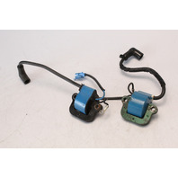 581407 502880 Johnson Evinrude 1974-1976 Set of 2 Coils 9.9 15 HP 1 YEAR WTY OEM