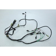 Mercury 1994 1995 1996 - 2001 EFI & Injector Harness 150 175 200 225 HP EFI V6