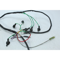 Mercury 1994 1995 1996 - 2001 EFI & Injector Harness 150 175 200 225 HP EFI V6