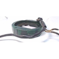 581225 Johnson Evinrude 1975-77 6 AMP Stator 85 115 135 140 HP 1 YEAR WTY