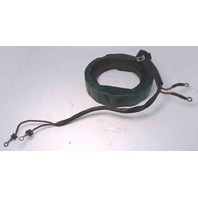 581225 Johnson Evinrude 1975-77 6 AMP Stator 85 115 135 140 HP 1 YEAR WTY