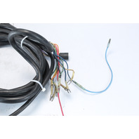 Chrysler Force US Marine Side Mount Control Box W/ Key  & 15' Harness