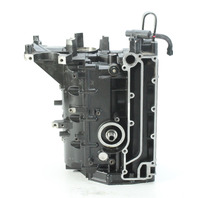 857015T6 Cylinder Block Mercury 40 50 60 HP 4 Stroke 1999 - 2005 Freshwater ONLY