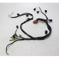 898101T51 Mercury 2006-2010 ECU Wiring Harness 25 30 HP EFI 3 Cylinder 4-Stroke