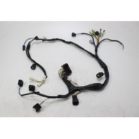 898101T51 Mercury 2006-2010 ECU Wiring Harness 25 30 HP EFI 3 Cylinder 4-Stroke