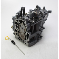 65W-W009B-11-1S Yamaha 1998-2008 Powerhead Short Block F25 T25 25 HP 6 MONTH WTY