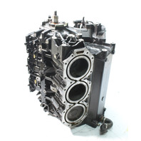 OEM Mercury Optimax Powerhead DFI 225 HP Pro XS 3.0L Ready To Install