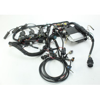 89195214 Mercury 40 HP EFI 2004 ECU Coils Harness Relays 3-Cyl 4-Stroke 1 Yr