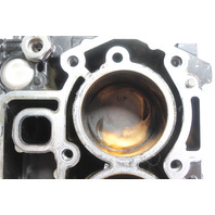 8M0123817 898103T34 Mercury 2006-Up Short Block Powerhead 25 30 HP 6 MONTH WTY