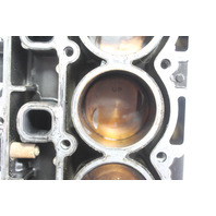 8M0123817 898103T34 Mercury 2006-Up Short Block Powerhead 25 30 HP 6 MONTH WTY