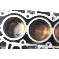 8M0123817 898103T34 Mercury 2006-Up Short Block Powerhead 25 30 HP 6 MONTH WTY