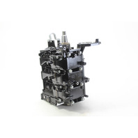 8M0123817 898103T34 Mercury 2006-Up Short Block Powerhead 25 30 HP 6 MONTH WTY
