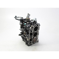 8M0123817 Mercury 2006-2010 Short Block Powerhead 25 30 HP EFI 6 MONTH WARRANTY