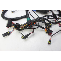 587041 Evinrude E-TEC 2010 & UP Wire Harness 200 225 250 300 HP 1 YEAR WARRANTY