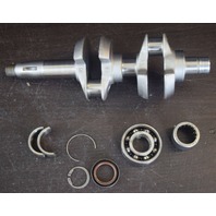 POLISHED! 1979-07 Johnson Evinrude Crankshaft w/bearings 328224 435707 9.9 15 HP