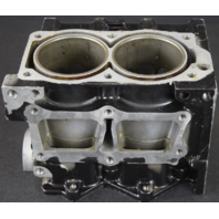 435233 Johnson Evinrude 1993-95 Rebuildable Powerhead 9.9 15 HP FOR PARTS/REPAIR