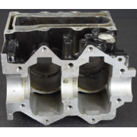 435233 Johnson Evinrude 1993-95 Rebuildable Powerhead 9.9 15 HP FOR PARTS/REPAIR