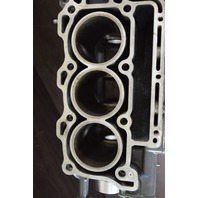 FRESHWATER! 2004 & UP Honda Cylinder Block Powerhead 12000-ZW4-405ZA 40 50 HP