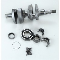 817398A3 C# 817398C2 Force 1989-1995 Crankshaft 40 50 HP 2 Cylinder POLISHED!