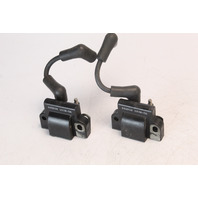 582508 Johnson Evinrude 1985-01 Set Of 2 Coils 18 20 25 28 30 40 + HP 1 YEAR WTY