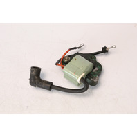 581609 581611 Johnson Evinrude 1976-78 Ignition Coil 55 70 75 HP 1 YEAR WTY!