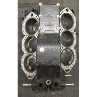 436700 Johnson Evinrude 1994-1995 Powerhead 150 HP ONLY FOR PARTS/REPAIR