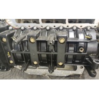 436700 Johnson Evinrude 1994-1995 Powerhead 150 HP ONLY FOR PARTS/REPAIR
