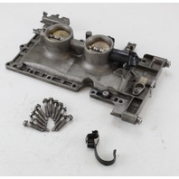 5006457 Johnson Evinrude 2006-12 & UP ETEC Throttle Body Assembly 60 65 75 90 HP